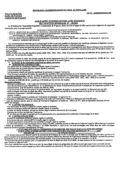 AVIS D'APPEL D'OFFRES OUVERT AVEC EXIGENCE DE CAPACITE MINIMALES N°09/2025