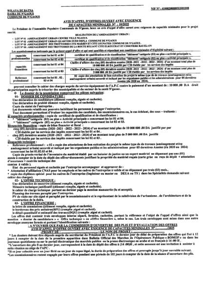 AVIS D'APPEL D'OFFRES OUVERT AVEC EXIGENCE DE CAPACITE MINIMALES N°10/2025