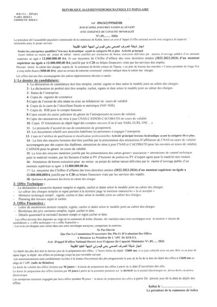 AVIS D'APPEL D'OFFRES NATIONAL OUVERT AVEC EXIGENCE DE CAPACITE MINIMALES N°09/2026