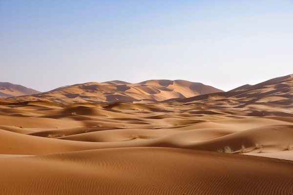 الصحراء الغربية