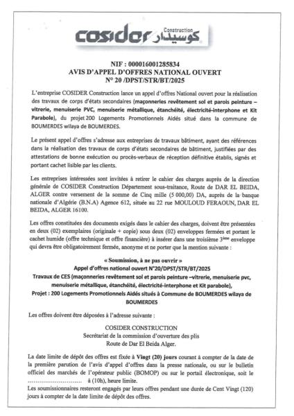 AVIS D'APPEL D'OFFRES NATIONALE OUVERT N° 20/DPST/STR/BT/2025