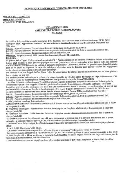 AVIS D'APPEL D'OFFRES NATIONAL OUVERT N°01/2025