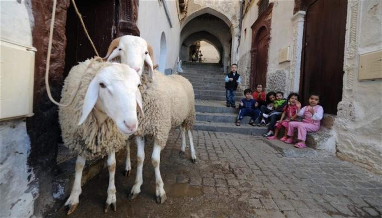 هذا موعد وقفة عرفات وعيد الأضحى 2026