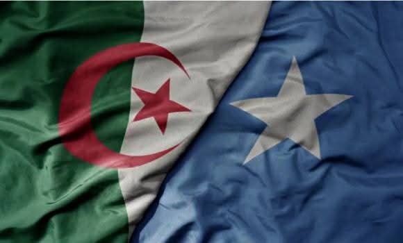 الجزائر والصومال تؤكدان تعزيز ديناميكية العلاقات الأخوية وتوسيع آفاق التعاون متعدد المجالات
