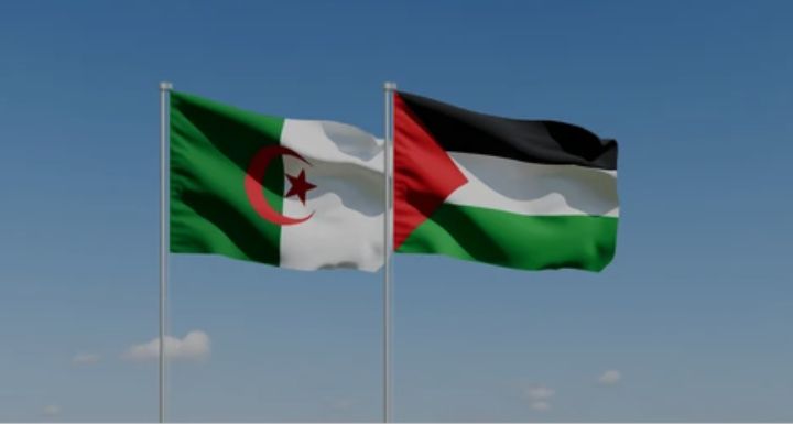 دبلوماسية الجزائر في مجلس الأمن ساهمت في وقف حرب الإبادة الصهيونية بحق الشعب الفلسطيني