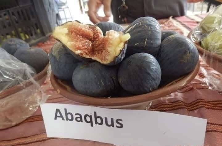 تيزي وزو تحتفل بِعيد التين في طبعته الـ13