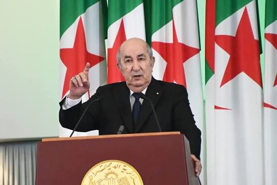 رئيس الجمهورية: التدخلات الخارجية تهدد استقرار إفريقيا وتتطلب موقفًا إفريقيًا موحدًا