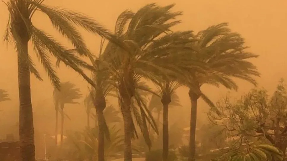 زوابع رملية ورياح قوية على هذه الولايات اليوم