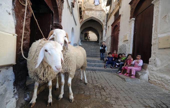 موعد يوم عرفة وعيد الأضحى فلكيا
