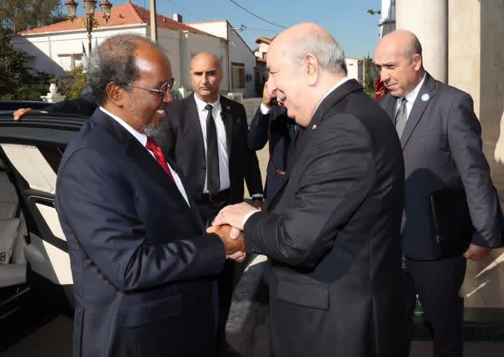 رئيس الجمهورية ونظيره الصومالي يؤكدان على الحل السياسي في ليبيا ورفض التدخلات الأجنبية في المنطقة