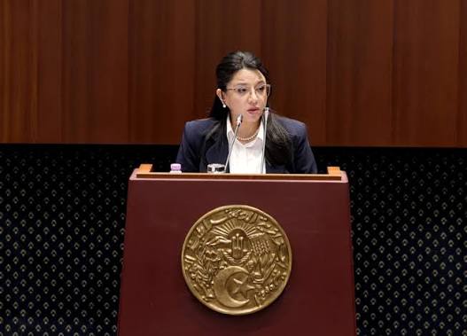 وزيرة التجارة تؤكد: مشروع تنظيم الأنشطة التجارية يعزز نزاهة المعاملات ويرتقي بجودة البيانات