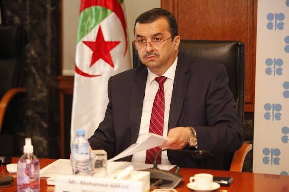 عرقاب يستقبل رئيس مجموعة البنك الإفريقي للتنمية لبحث تعزيز التعاون