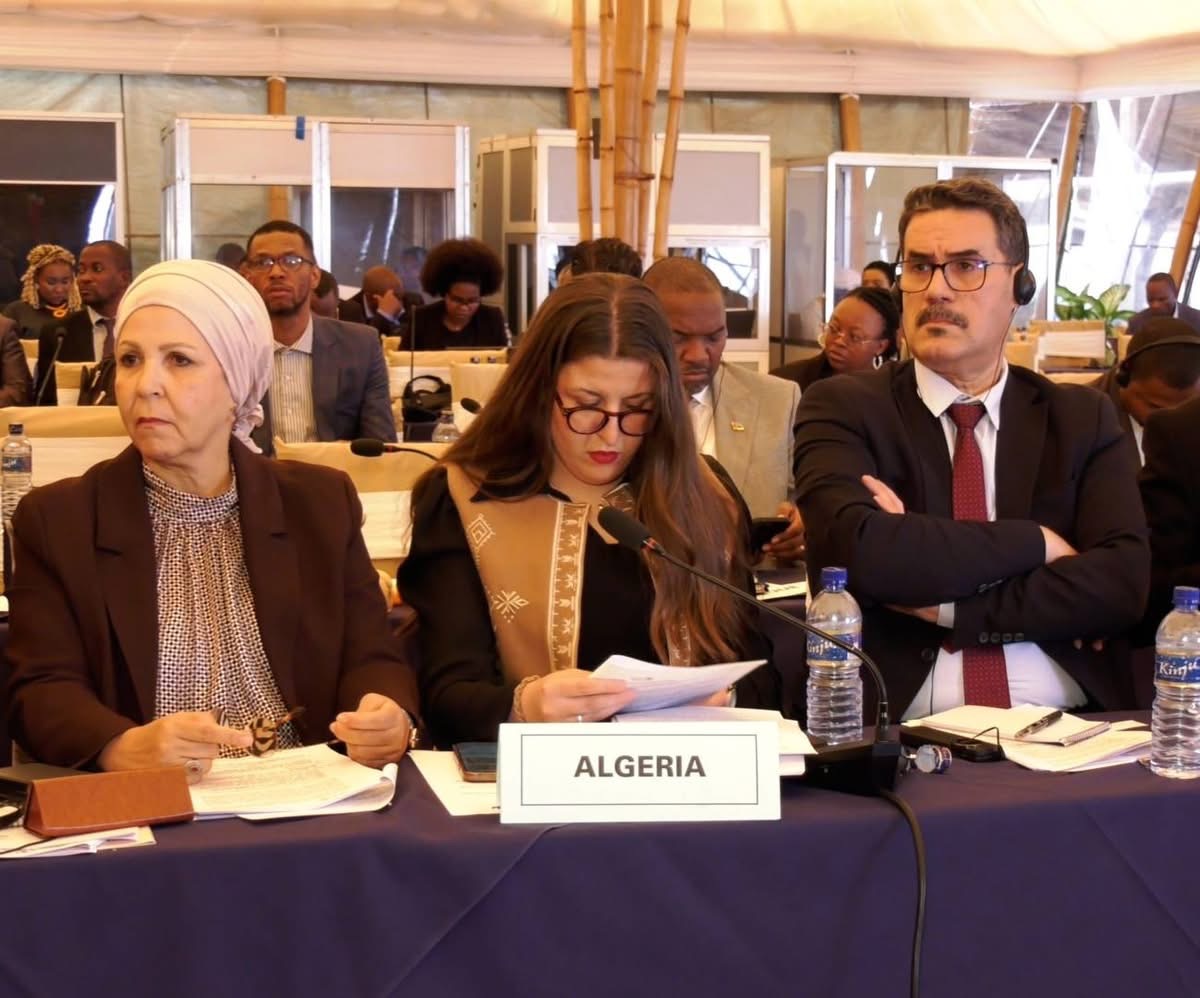 وزارة الشباب تشارك في أشغال الاجتماع الوزاري الإفريقي للشباب والثقافة والرياضة