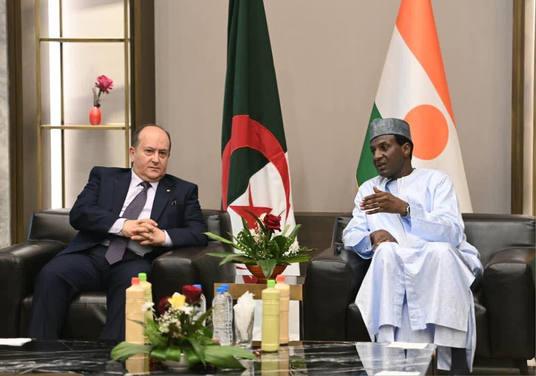 الوزير الأول يحل بمنطقة غوروا باندا بنيامي للإشراف على تدشين محطة توليد الكهرباء للتضامن “الجزائري – النيجري”