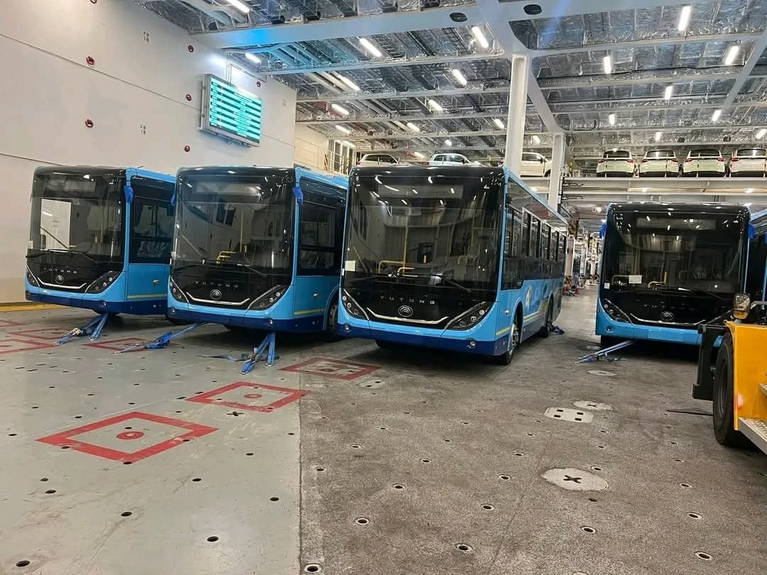 تجديد الحظيرة الوطنية..استلام شحنة بـ 380 حافلة بميناء جن جن بجيجل