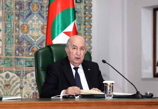 الرئيس تبون يكرّم الأبطال الجزائريين المتوجين قارياً وعالمياً