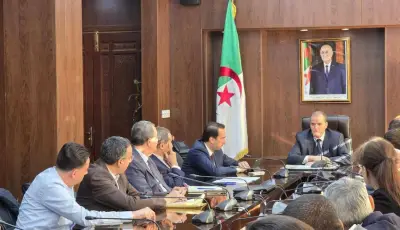 وزير التجارة الخارجية يترأس اجتماعًا لتنظيم شعبة بلاستيك التعبئة والتغليف