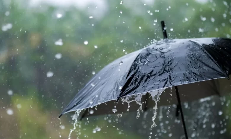 أمطار رعدية مرتقبة على عدد من ولايات الوطن