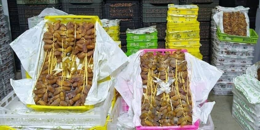 إنجاز عالمي جديد.. دقلة نور الجزائرية تصنف كأجود وأفضل التمور في العالم