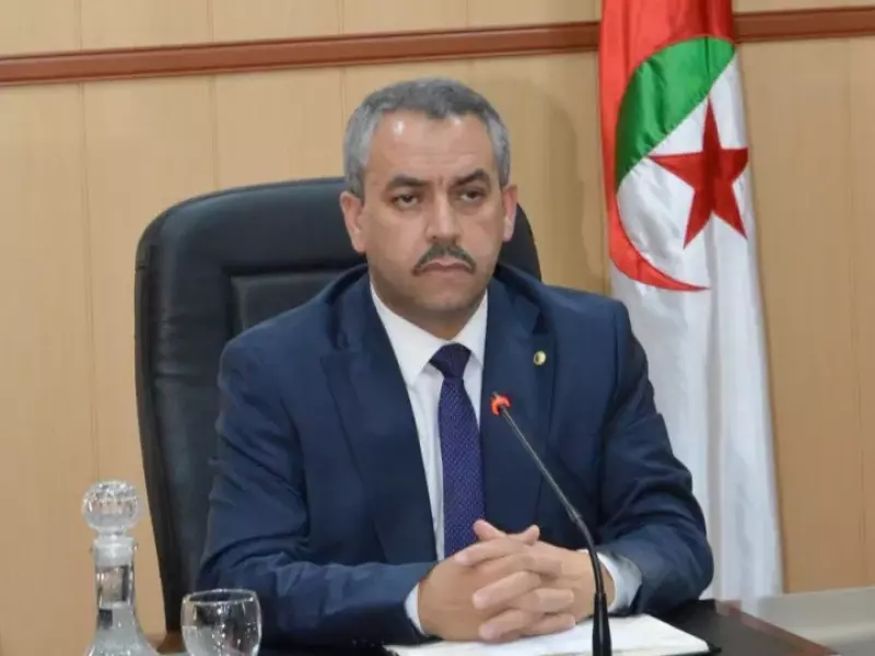 سعداوي: توجه جديد لإعادة تنظيم التعليم المتوسط والثانوي