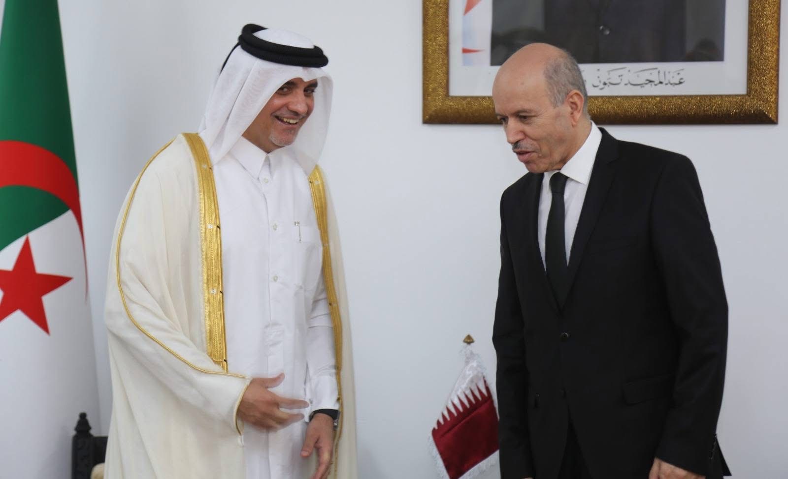 الجزائر وقطر تتجهان لتجسيد شراكة في التشغيل والحماية الاجتماعية