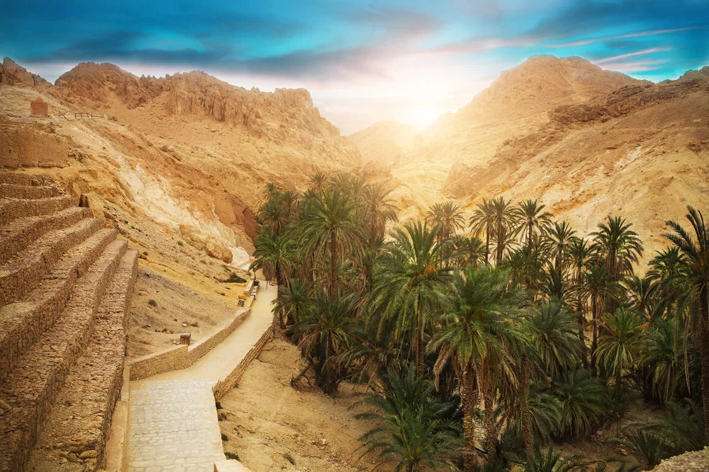 الشروع في العمل بالتوقيت الصيفي بولايات الجنوب غدا الأحد