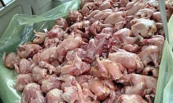 بجاية: حجز وإتلاف أكثر من 13 قنطار من اللحوم البيضاء الفاسدة