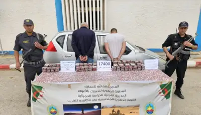 ثلاث عمليات نوعية للجمارك تطيح بمروجي المخدرات والمؤثرات العقلية
