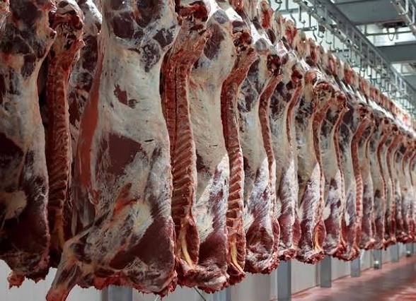 استقرار مرتقب في أسعار اللحوم ابتداءً من السنة المقبلة