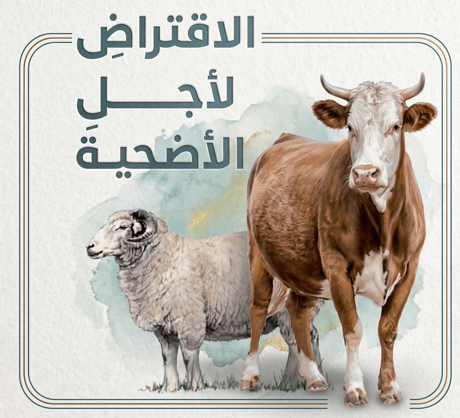 الاقتراض لأجل شراء الأضحية.. جامع الجزائر يفتي في الموضوع