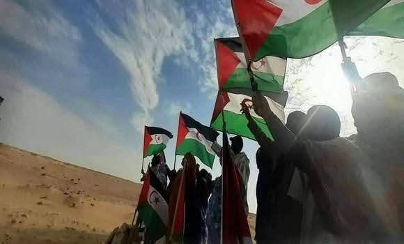 شباب صحراوي يطلق حملة “لا مستقبل لنا معكم” رفضًا لنهب الثروات بالجزء المحتل
