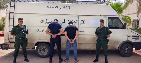 إحباط تهريب قطيع من غنم “سيداون” داخل مركبة نقل الجنائز بغرداية