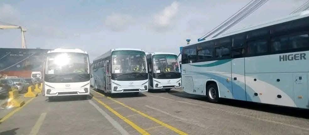 استلام 862 حافلة جديدة بميناء الجزائر في إطار برنامج تجديد حظيرة النقل