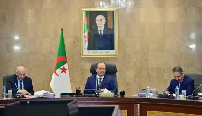 الحكومة تدرس تنظيم التعليم الخاص وتواصل إعداد مخططات 2026-2028