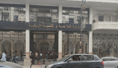 وزارة الفلاحة تضمن تموين السوق بالمنتجات الغذائية لشهر رمضان 2026