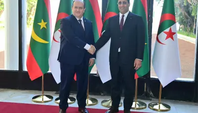 سيفي غريب يؤكد على تعزيز وتوسيع المبادلات التجارية بين الجزائر وموريتانيا
