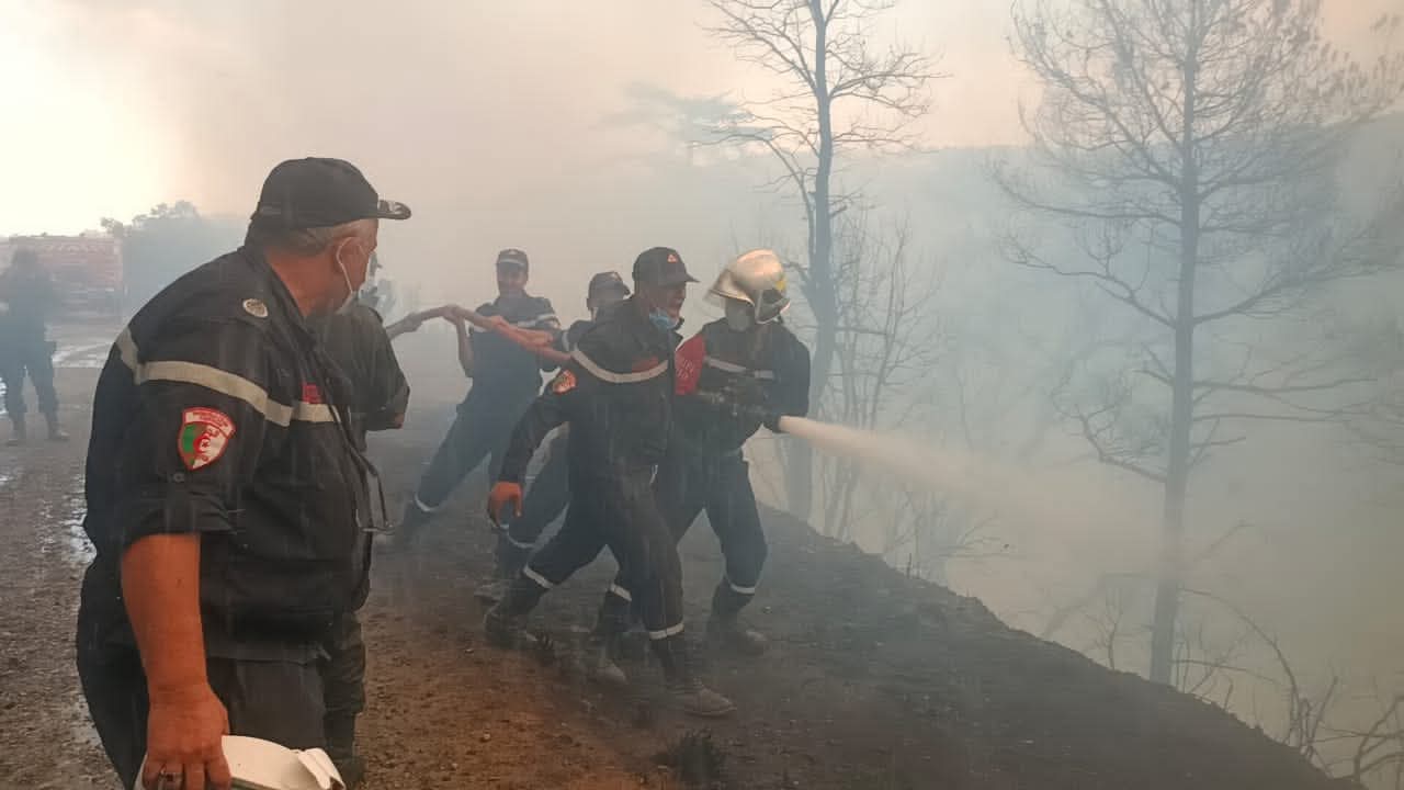 البليدة: 460 عون و80 شاحنة إطفاء لإخماد حريق الشريعة