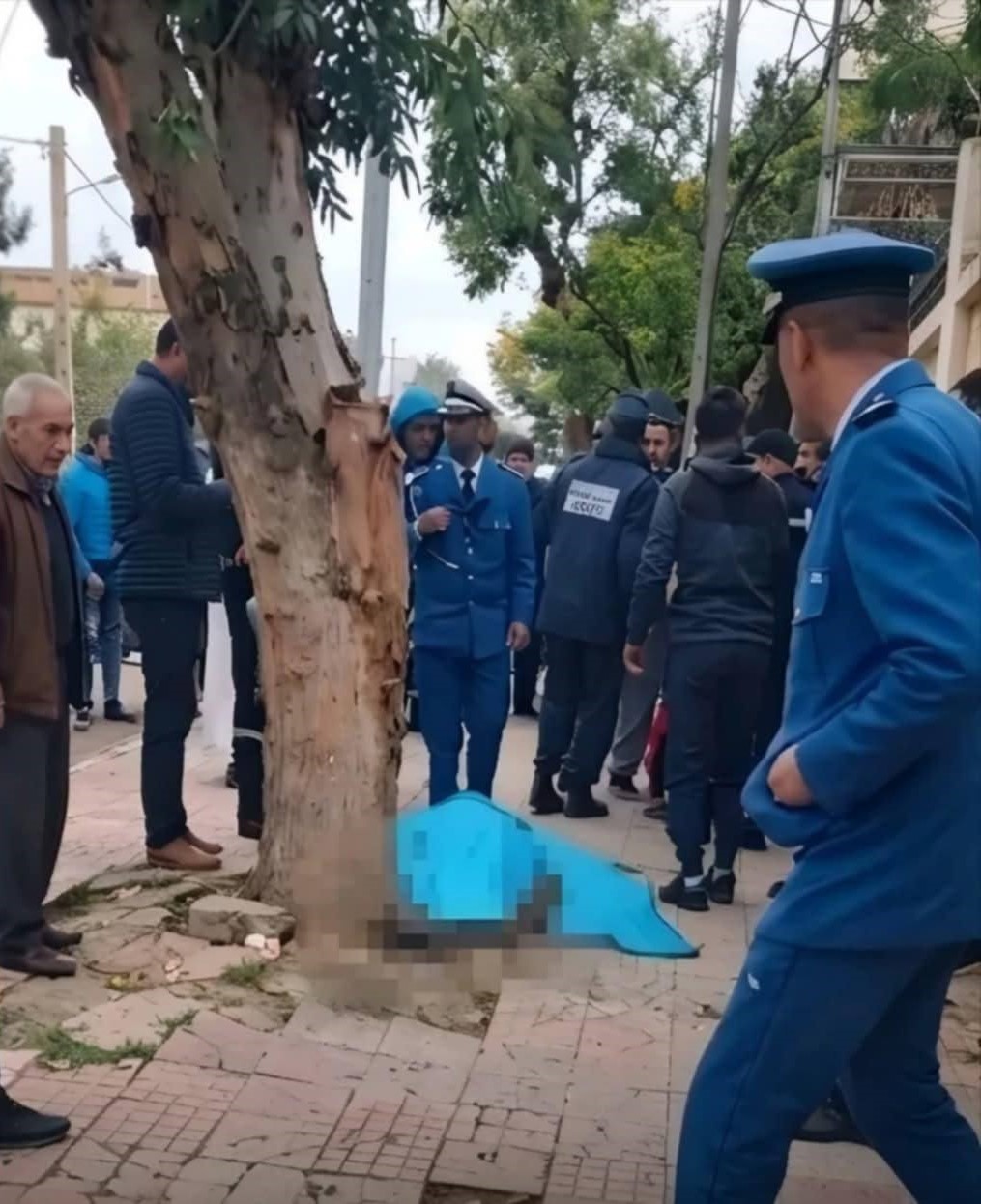 مأساة بتلمسان.. قتل شاب أب لأربعة أطفال بمقص حلاقة