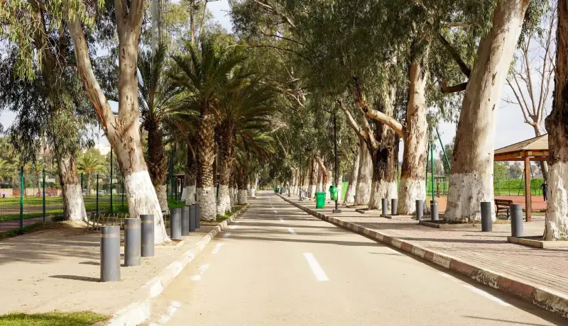 ولاية الجزائر تمدد غلق الفضاءات الغابية والمنتزهات بسبب التقلبات الجوية