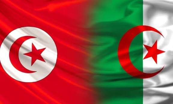 تونس تشكر الجزائر على دعمها الكهربائي وتثمن تضامن سونلغاز