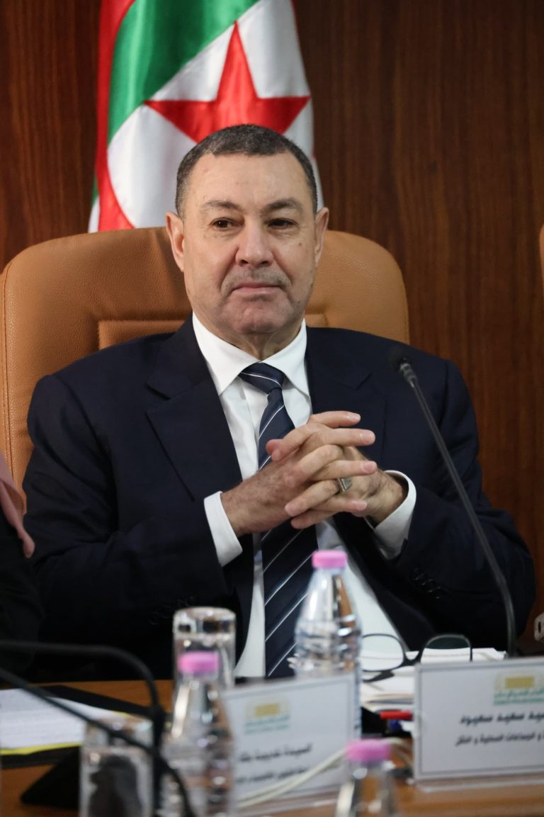 عرض مشروع قانون يحدد الدوائر الانتخابية وعدد مقاعد البرلمان