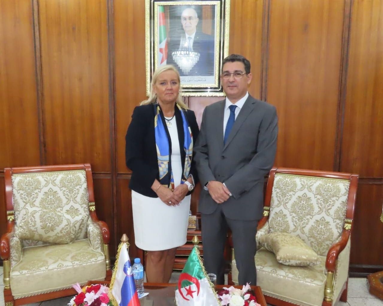 وزير الصحة يستقبل مستشارة التعاون وتطوير المساعدة الإنسانية لسلوفينيا