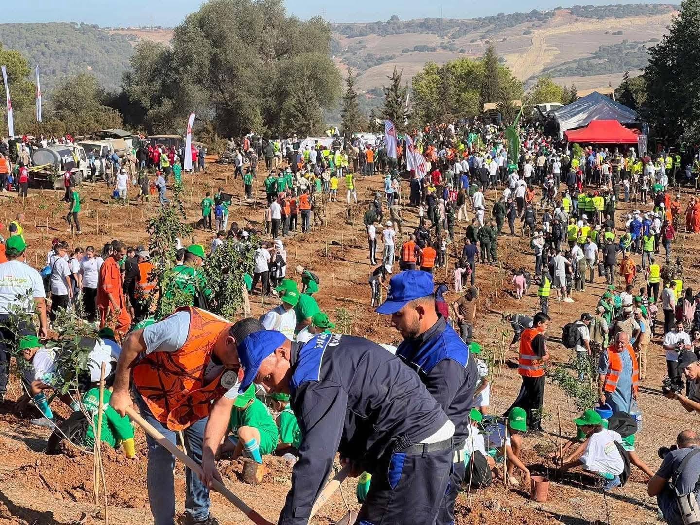 حملة 5 مليون شجرة يوم 14 فيفري.. ودخول شجرة الأرڤان للغابات الجزائرية