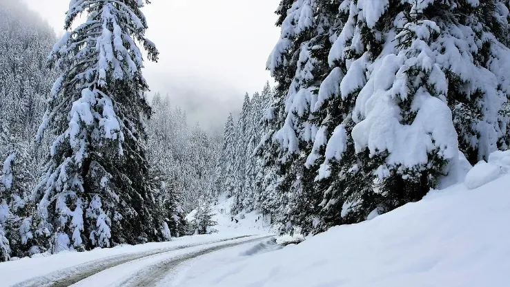 بسمك 25 سم.. تساقط ثلوج كثيفة على هذه الولايات