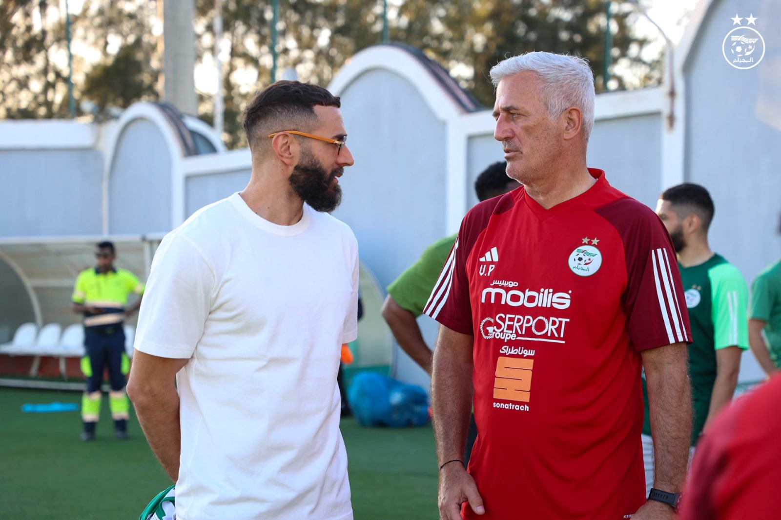 بالفيديو .. بن زيمة يدعم المنتخب الجزائري