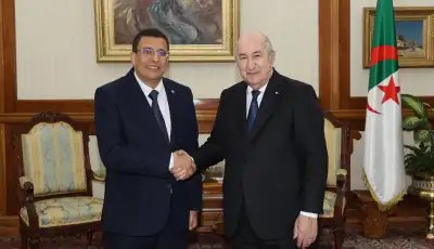 رئيس الجمهورية يستقبل رئيس البرلمان الإفريقي فاتح بوطبيق