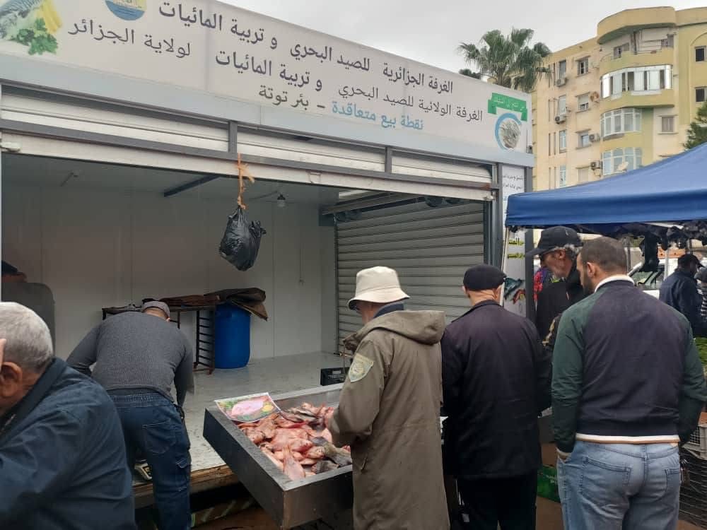 تواصل البيع المباشر للأسماك من المنتج إلى المستهلك بالعاصمة