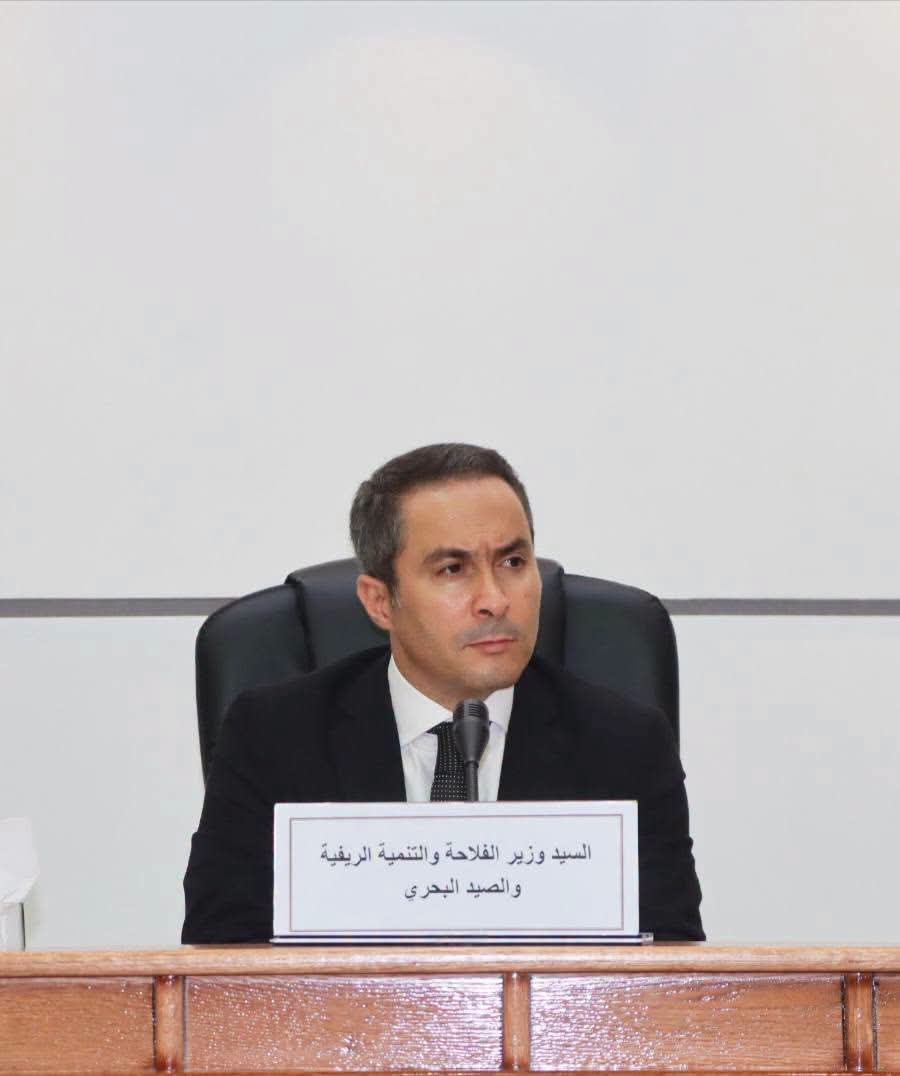 دعم الفلاحين، توسيع المساحات المزروعة بالحبوب وجرد شامل للأراضي غير المستغلة.. توجيهات مشددة من وزير الفلاحة