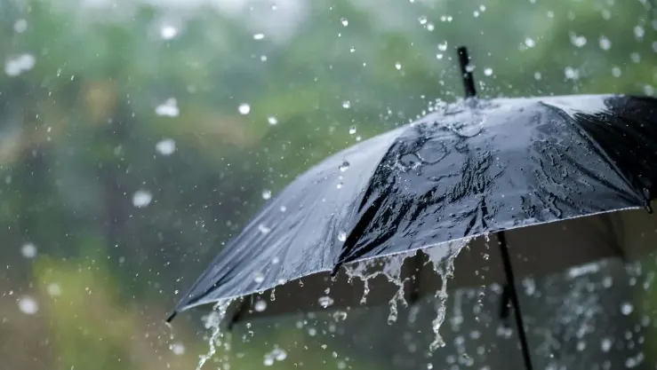 أمطار غزيرة ورعود بعدة ولايات اليوم