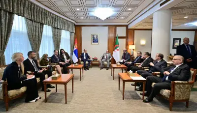تعزيز الشراكة الجزائرية-الصربية محور محادثات ثنائية بقصر الحكومة